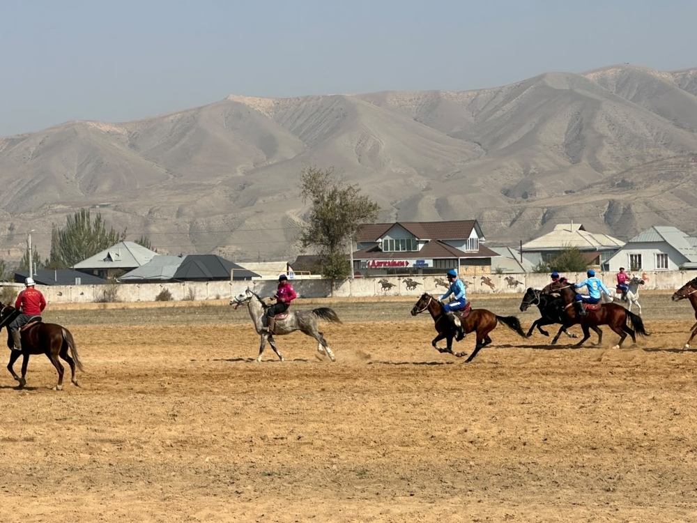Фото: Turmush