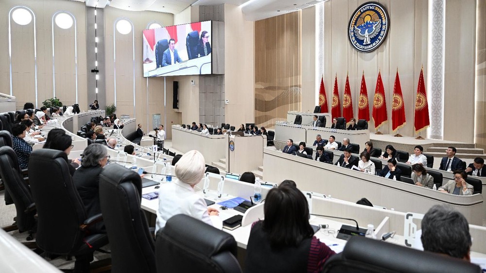 Кыргыз Республикасынын Жогорку Кеңеши Омбудсмандын 2025-жылдагы адам укуктары жөнүндө отчетун карап чыкты