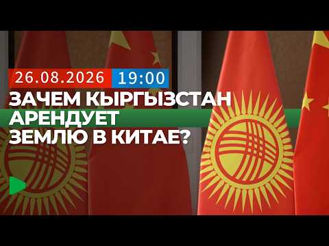 Фото: Номад ТВ (YouTube)