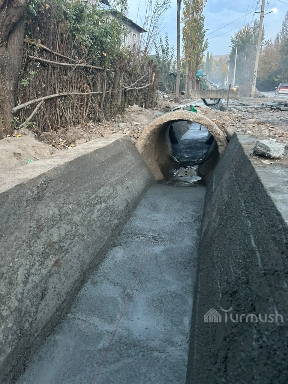 Фото: Turmush