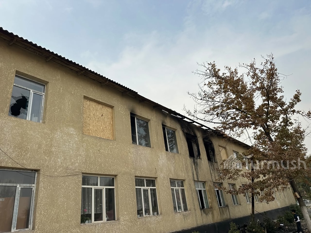 Сүрөт: Turmush