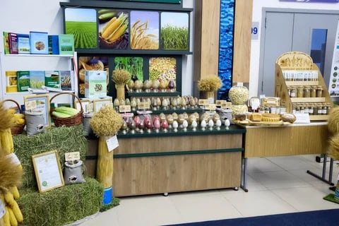 Сүрөт: Кабар (рус.)