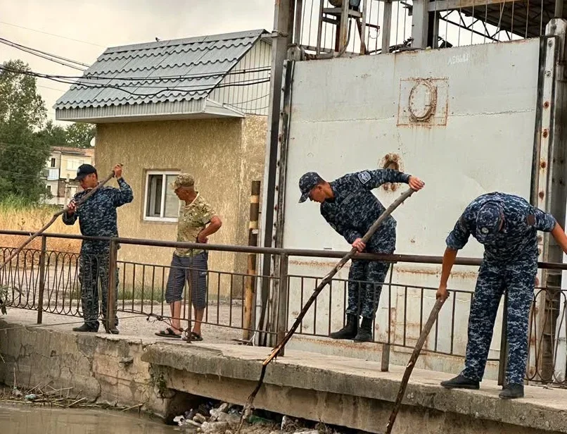 Фото: Кабар (рус.)
