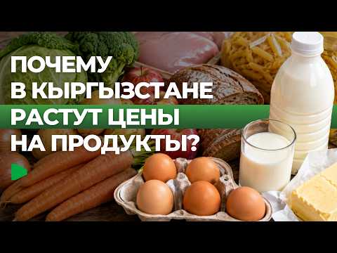 Фото: Номад ТВ (YouTube)
