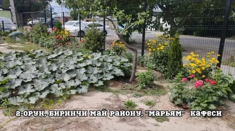Фото: Кабар (рус.)