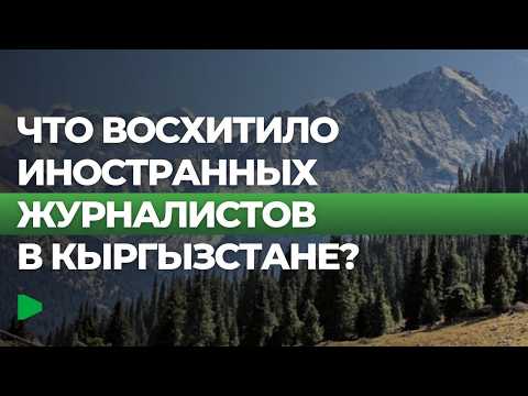 Фото: Номад ТВ (YouTube)