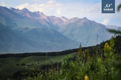 Фото: Кабар (рус.)