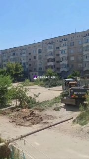 Аламединде эң коркунучтуу зыянкеч жаныбарлары аныкталды