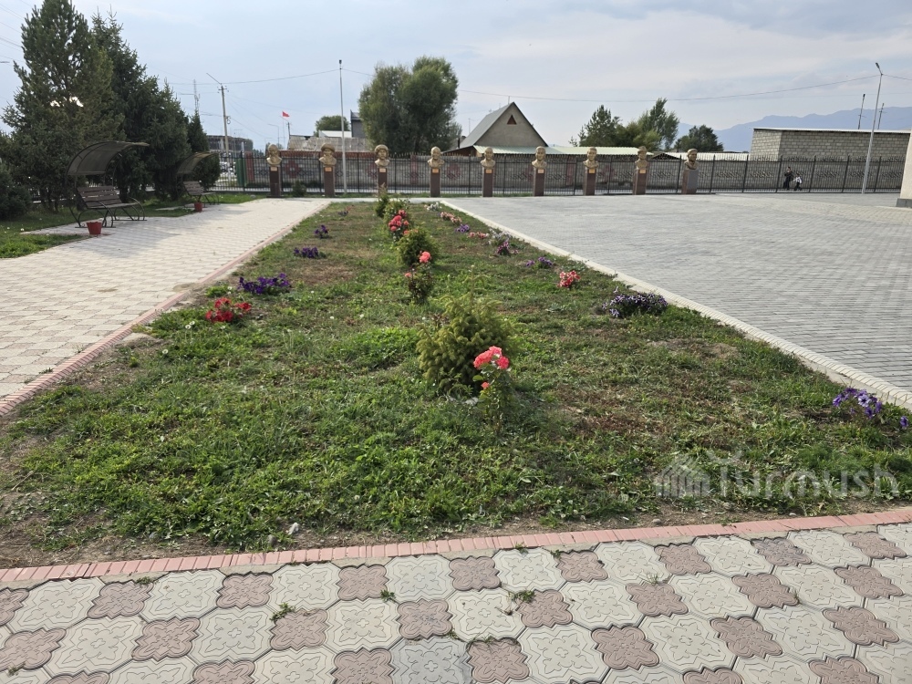 Сүрөт: Turmush