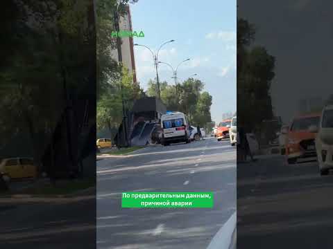 Сүрөт: Номад ТВ (YouTube)