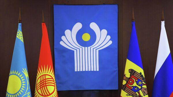 Эксперт СНГ'нин бирдиктүү система болуп иштеши үчүн кайра ойлонууну сунуштады