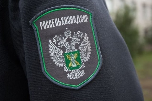 Россельхознадзордун көзөмөлү менен ЕАЭБ өлкөлөрөрүнөн, анын ичинде Кыргызстандан, 3,6 миң тоннадан ашык жашылча жана жемиш келди