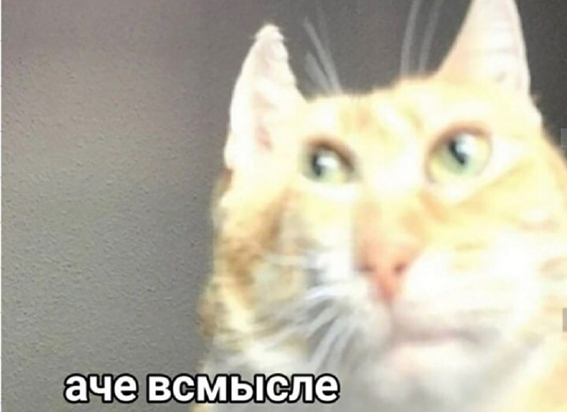 Сүрөт: Сейчас KG