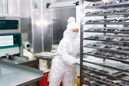Кыргызстандын кайра иштетүүчү өнөр жайы алты айда жалпы өндүрүштүн 79% түздү