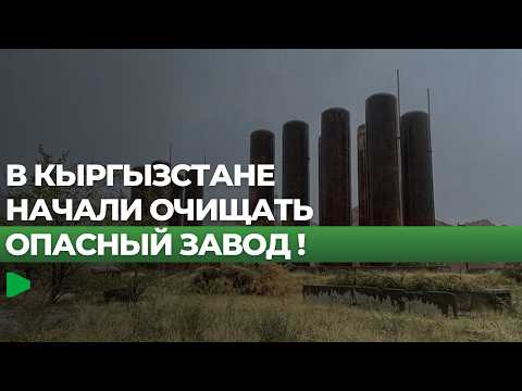Фото: Номад ТВ (YouTube)