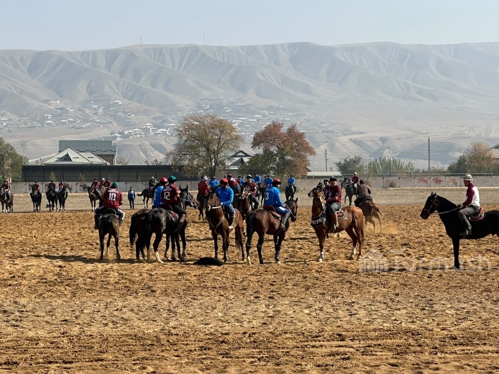 Фото: Turmush