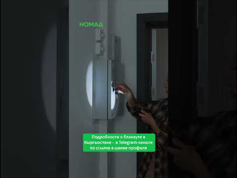 Бишкекте катуу ысыктан кийинки жармада жумуртка бышырганга аракет кылышты