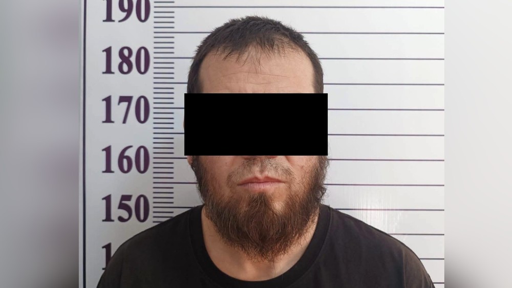 Ноокен районунда мамлекеттик чек араны мыйзамсыз кесип өткөн чет элдик жаран кармалды