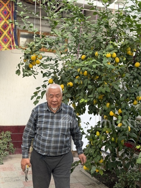 Сүрөт: Turmush