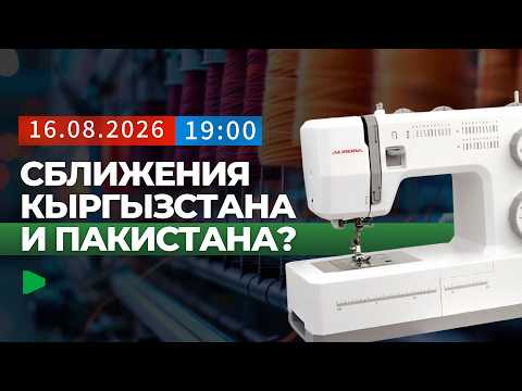 Фото: Номад ТВ (YouTube)