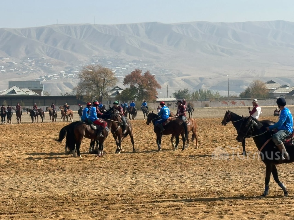 Фото: Turmush