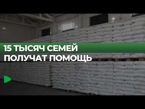 Фото: Номад ТВ (YouTube)