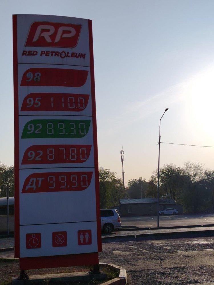Сүрөт: Kaktus.media