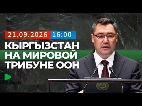 Фото: Номад ТВ (YouTube)