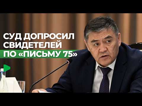 Фото: Номад ТВ (YouTube)