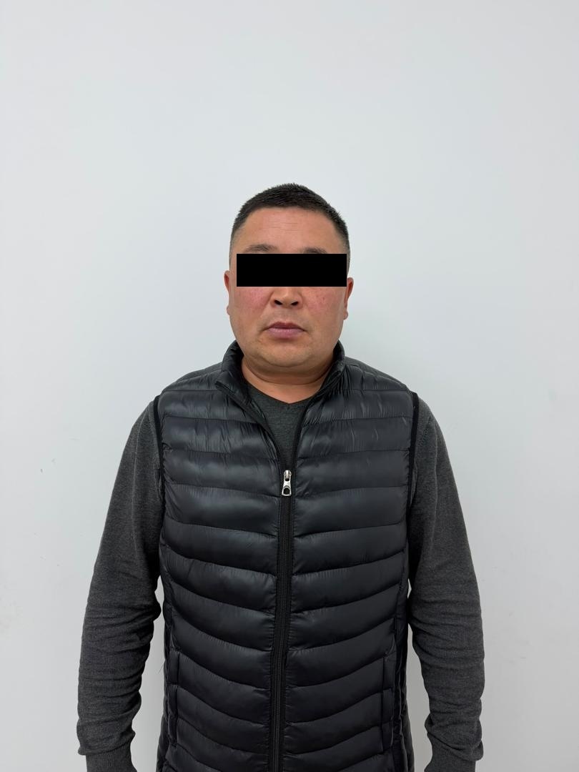 Сүрөт: Tazabek