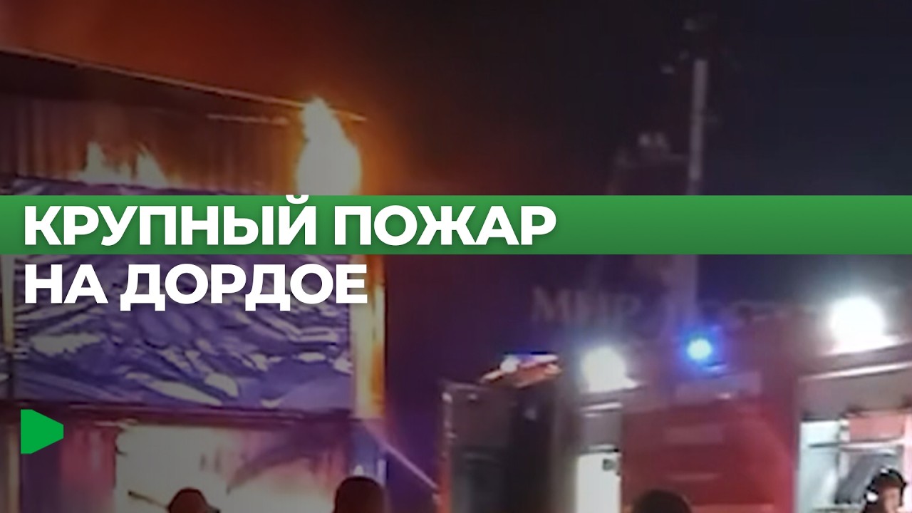 Сүрөт: Номад ТВ (YouTube)