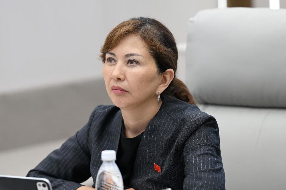Вместо аренды: депутат предложила передавать пустующее госимущество промышленникам