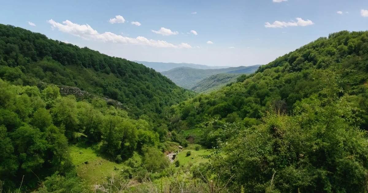 Площадь лесов Кыргызстана за последние десятилетия выросла на 506 тысяч гектаров