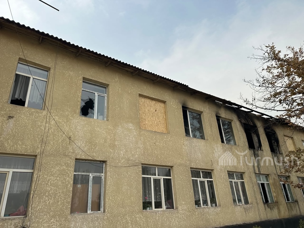 Сүрөт: Turmush