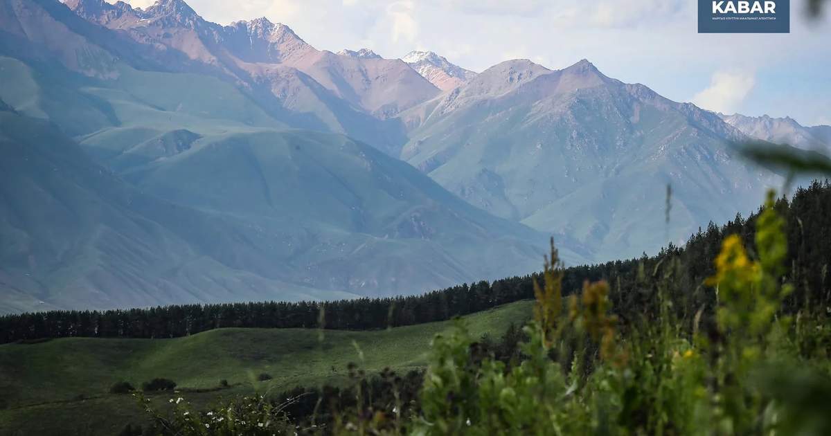 Фото: Кабар (рус.)