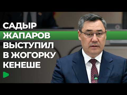 Фото: Номад ТВ (YouTube)