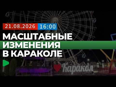 Фото: Номад ТВ (YouTube)