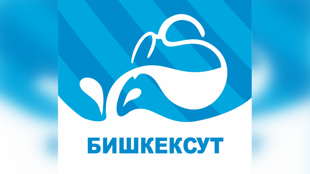 Айнур Атаханова Бишкексуттун жаңы башкы директору болду