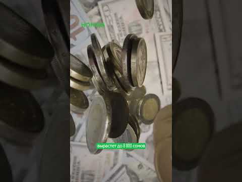 Фото: Номад ТВ (YouTube)