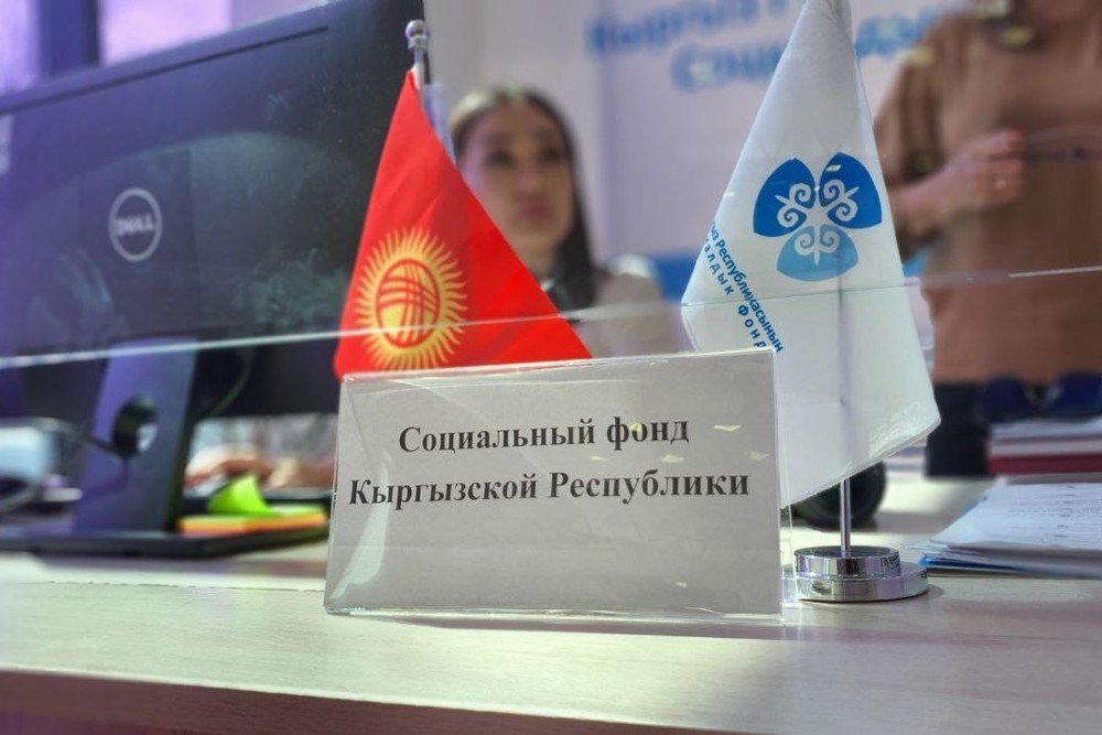 Излишки уплаченного налога можно будет использовать для погашения страховых взносов