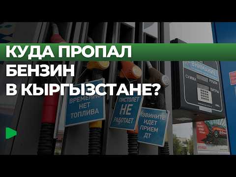 Фото: Номад ТВ (YouTube)