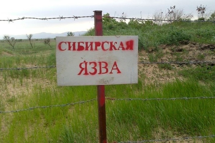 Фото: Tazabek