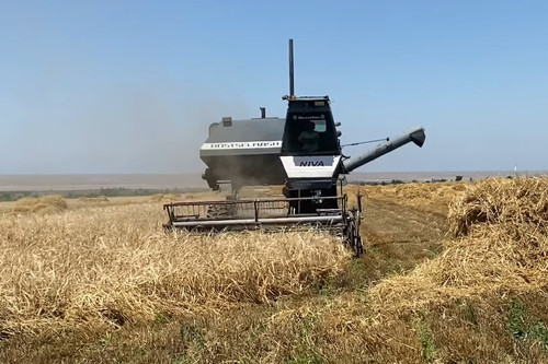 Кыргызстанда айыл чарба продукциясын өндүрүү 2027-жылга карата 45%га чейин көбөйөт деп божомолдолууда