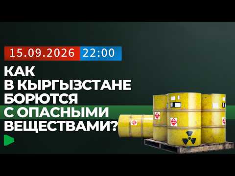 Фото: Номад ТВ (YouTube)