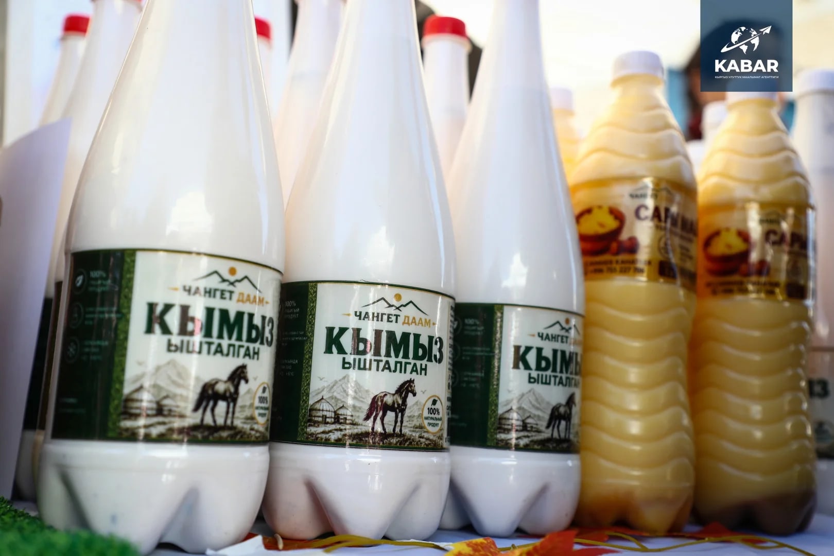 Фото: Кабар (рус.)
