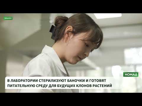 Бишкектеги лаборатория: Кыргызстандын айыл чарбасын кантип өнүктүрүү керек