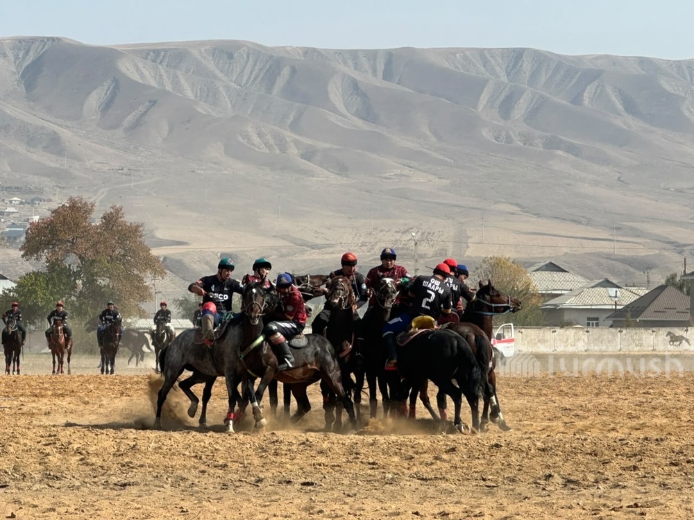Фото: Turmush