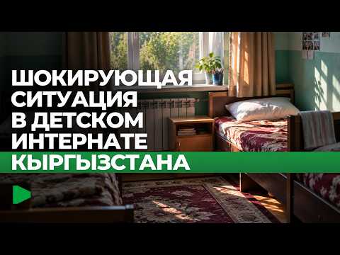Фото: Номад ТВ (YouTube)