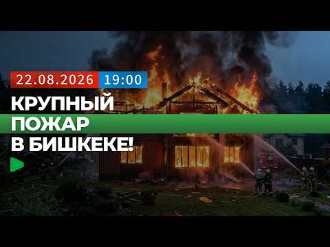 Фото: Номад ТВ (YouTube)