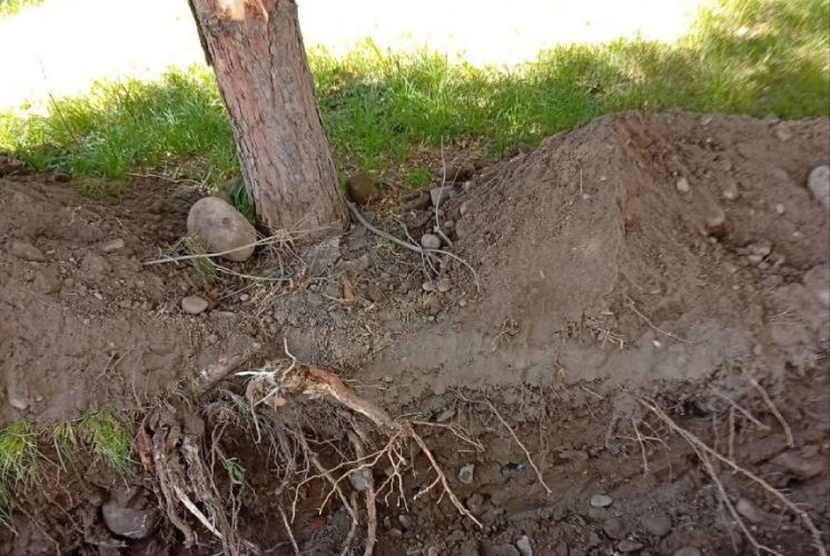 Бишкекте курулуш компаниясы бузулган суу агым лотогун калыбына келтирүүгө милдеттендирилди